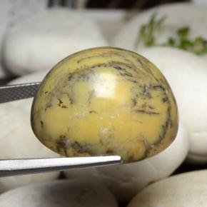 44.92克拉天然树枝状玛瑙，椭圆形切割，不透明