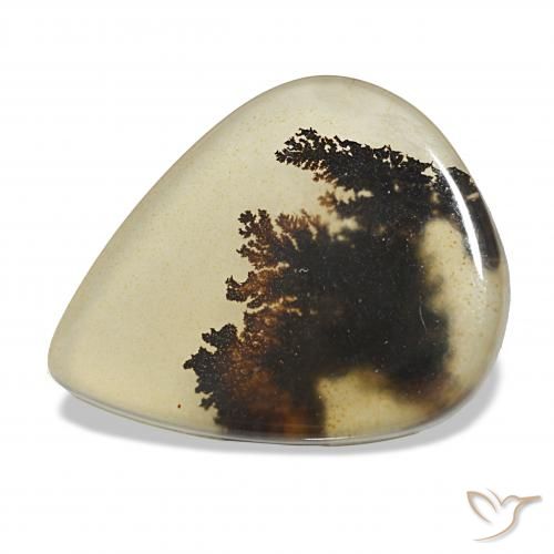 4.62ct 彩色 树枝状玛瑙, 梨形, 透明