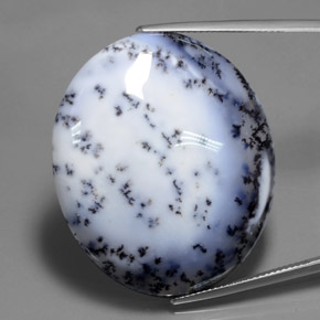 69.65克拉天然树枝状玉髓，椭圆形切割，半透明