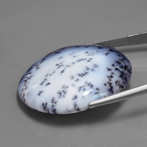 69.65克拉天然树枝状玉髓，椭圆形切割，半透明