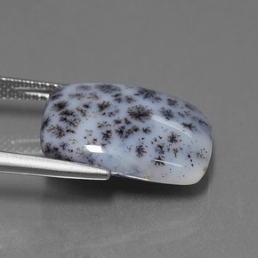 8.39克拉天然树枝状玉髓，垫形剪裁，不透明