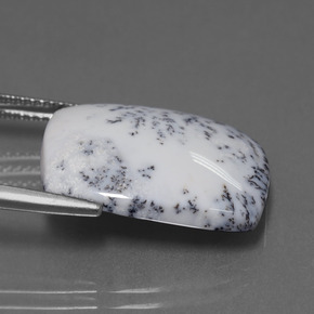 11.33克拉天然树枝状玉髓，垫形剪裁，不透明