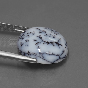 9.76克拉天然树枝状玉髓，圆形切割，不透明