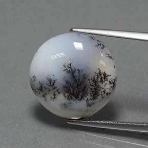 7.74克拉天然树枝玉髓，圆形切割，不透明