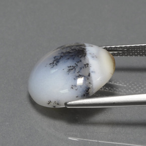 7.74克拉天然树枝玉髓，圆形切割，不透明