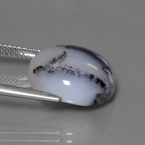 11.38克拉天然树枝玉髓，圆形切割，半透明