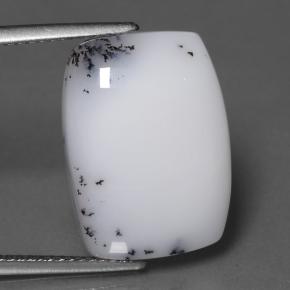 10.95克拉天然树枝状玉髓，垫形剪裁，不透明