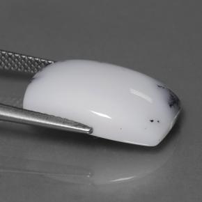 10.95克拉天然树枝状玉髓，垫形剪裁，不透明