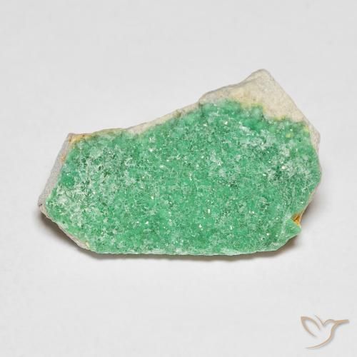 6.19ct 天然 三叶草绿色 德鲁齐杂石, 花式切割, 不透明