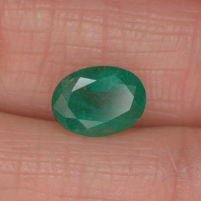 1.27克拉天然绿色祖母绿，椭圆形切割，8.2×6毫米，I1