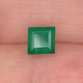 0.75克拉天然绿色祖母绿，方形，5.1×5.1毫米，I1