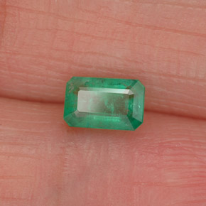 0.50克拉天然绿色祖母绿，祖母绿式切割，5.8×3.8毫米，SI-I1