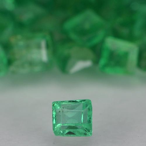 1.34天然绿色祖母绿，方形，1.3×1.2毫米，VS-SI