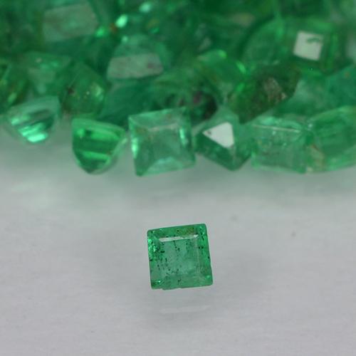 1.23天然绿色祖母绿，方形，1.3×1.3毫米，VS-SI