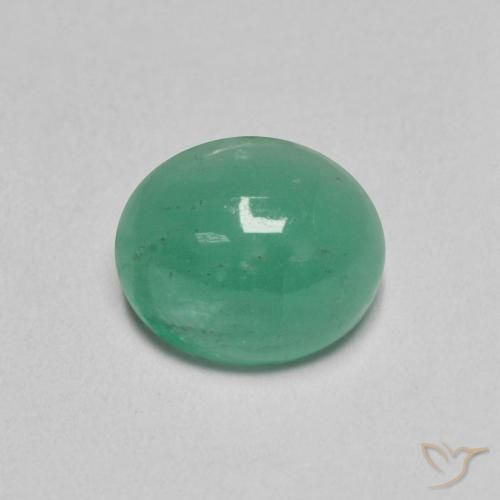 1.12ct 天然 中绿色 翠, 椭圆形, 半透明