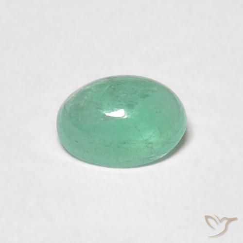 0.48ct 天然 蕨绿 翠, 椭圆形, 半透明