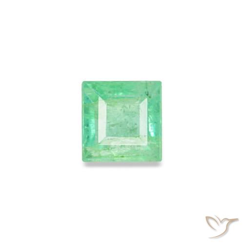 0.09克拉天然绿色祖母绿，方形，2.5×2.4毫米，VS-SI