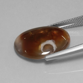 8.25克拉天然多色火玛瑙，透明，18.1×14.1毫米，透明/半透明