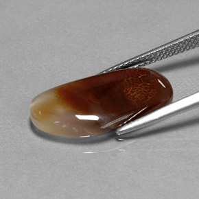 6.66克拉天然多色火玛瑙，透明，19.7×9.6毫米，透明/半透明