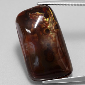 15.26克拉天然多色火玛瑙，异形，21.6×12.7毫米，不透明