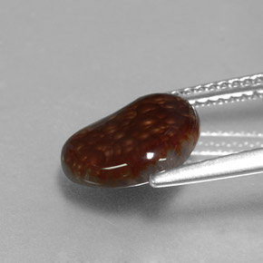 2.22克拉天然多色火玛瑙，异形，10.7×9.4毫米，不透明