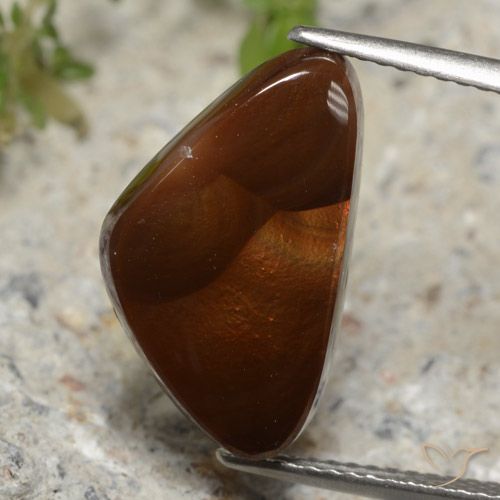 5.76ct 天然 彩色 火玛瑙, 胖三角形, 半透明