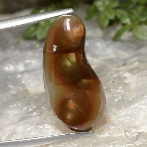 5.25ct 天然 彩色 火玛瑙, 花式切割, 半透明