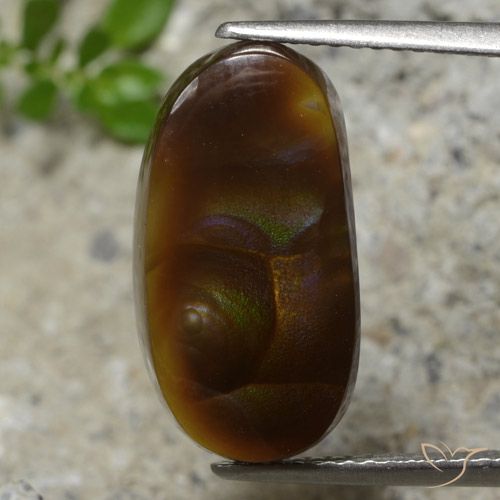 5.99ct 天然 彩色 火玛瑙, 花式切割, 半透明