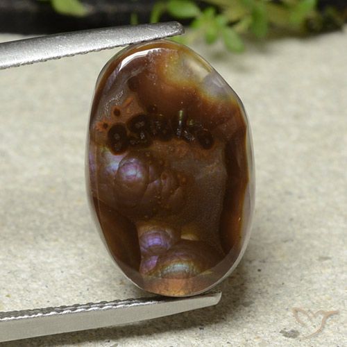 7.65ct 天然 彩色 火玛瑙, 椭圆形, 不透明