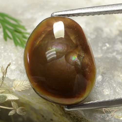 5.37ct 天然 彩色 火玛瑙, 花式切割, 不透明
