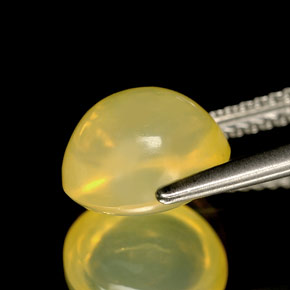 2.52克拉天然黄色火欧泊，透明，9.2×8.4毫米，透明/半透明