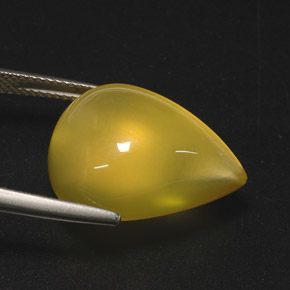 15.76克拉天然黄色火欧泊，透明，20.6×15.5毫米，透明/半透明
