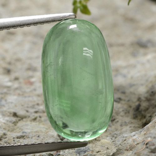 7.35ct 天然 浅绿色 萤石, 椭圆形, 透明
