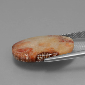 15.17克拉天然珊瑚化石，椭圆形切割，不透明