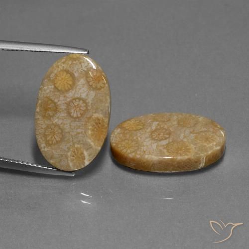 人気を誇る 大量!!silver入り!!［珊瑚アクセサリーおまとめ］a