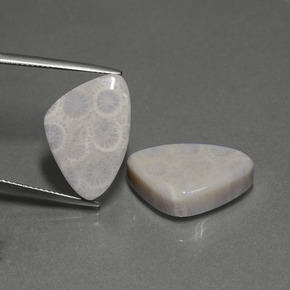 克拉天然珊瑚化石，三角形，不透明