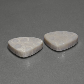 克拉天然珊瑚化石，三角形，不透明