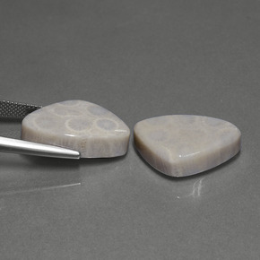 克拉天然珊瑚化石，三角形，不透明