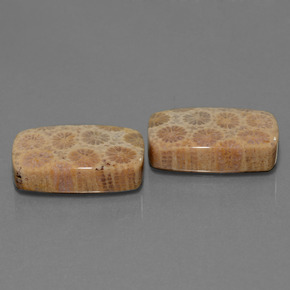 克拉天然珊瑚化石，垫形剪裁，不透明