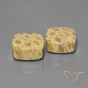 26.03克拉天然珊瑚化石，软垫，不透明