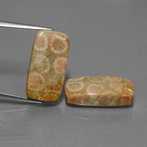 23.56克拉天然珊瑚化石，垫形剪裁，不透明