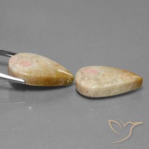 28.35克拉天然珊瑚化石，梨形，不透明