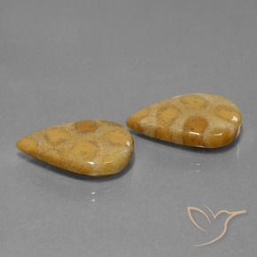 22.90克拉天然珊瑚化石，梨形，不透明