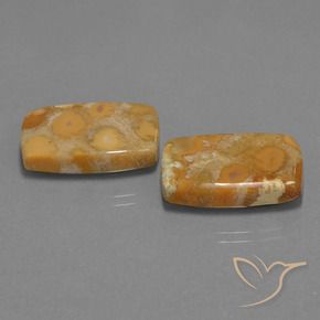 29.77克拉天然珊瑚化石，软垫，不透明