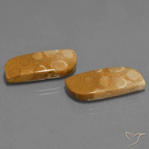 24.41克拉天然珊瑚化石，花式切割，不透明