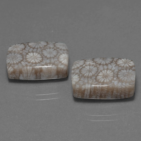 克拉天然珊瑚化石，垫形剪裁，不透明