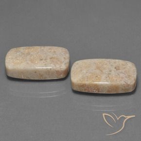 30.16克拉天然珊瑚化石，软垫，不透明