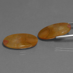 克拉天然珊瑚化石，椭圆形切割，半透明