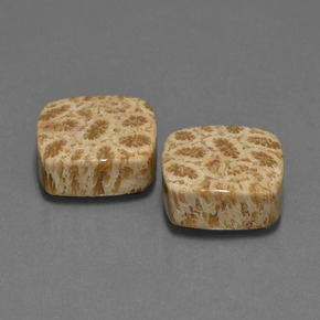 克拉天然珊瑚化石，垫形剪裁，不透明