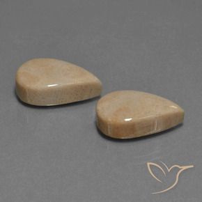 17.01克拉天然珊瑚化石，梨形，不透明